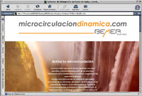 Microcirculación dinámica